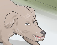 the devil.png