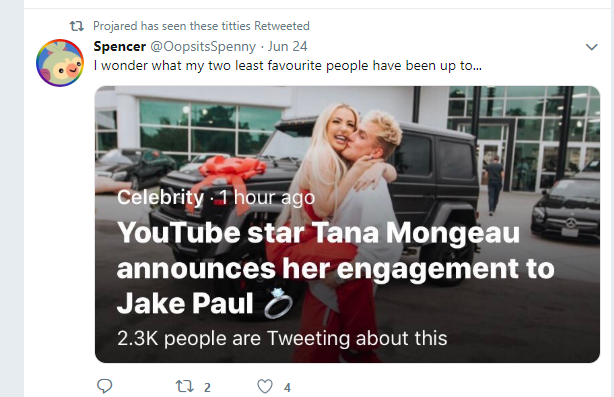 The Irony.PNG