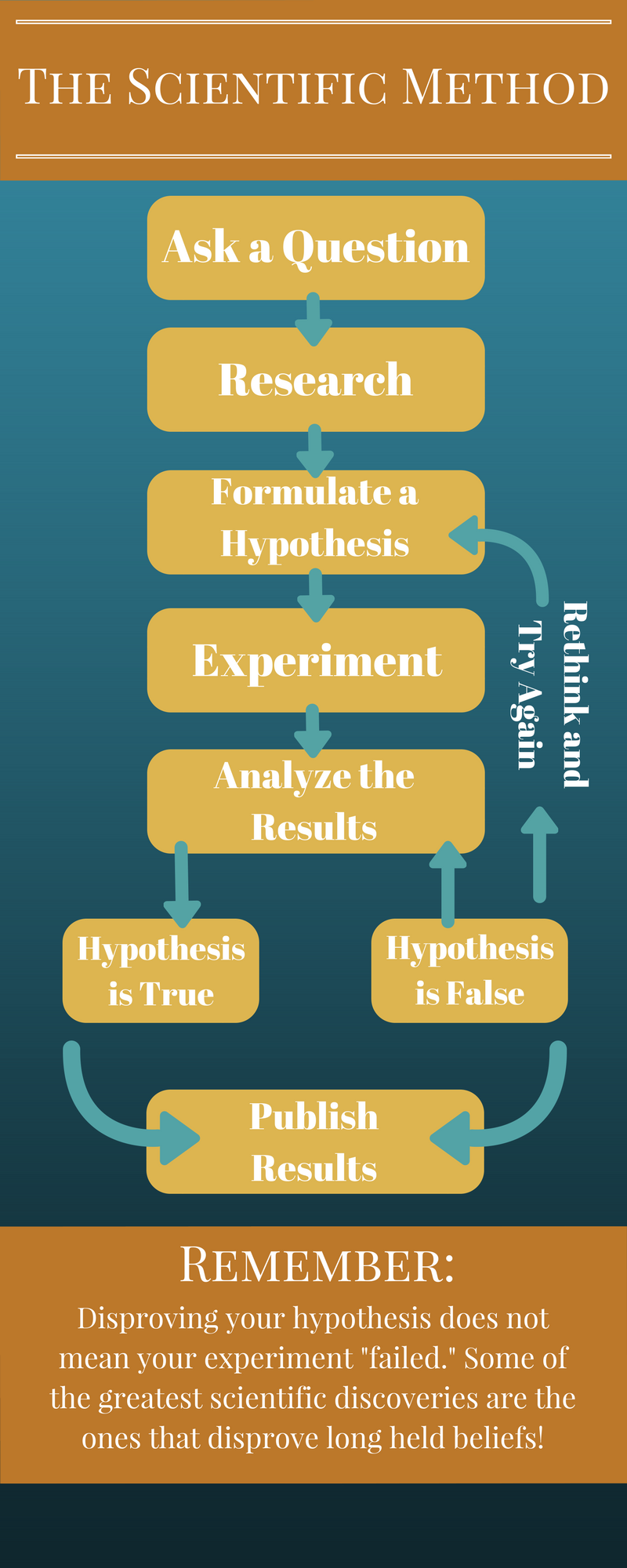 The-Scientific-Method.png