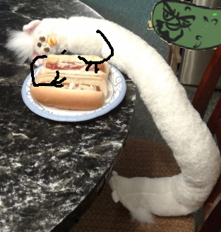 Them dogs.png
