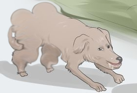 thicc.jpg