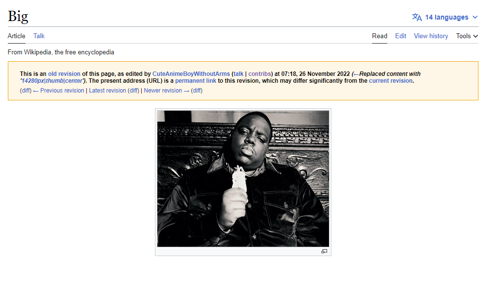 This Article is Really BIG.PNG