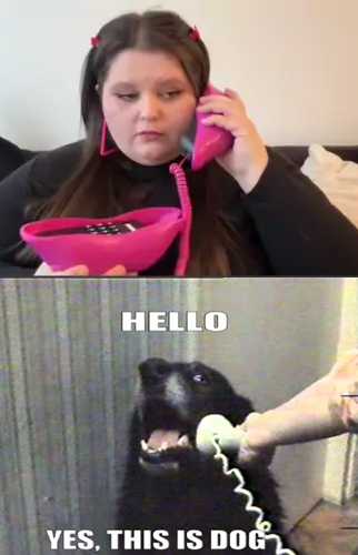 thisisdog.png