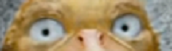 thousandyardstareduck.png