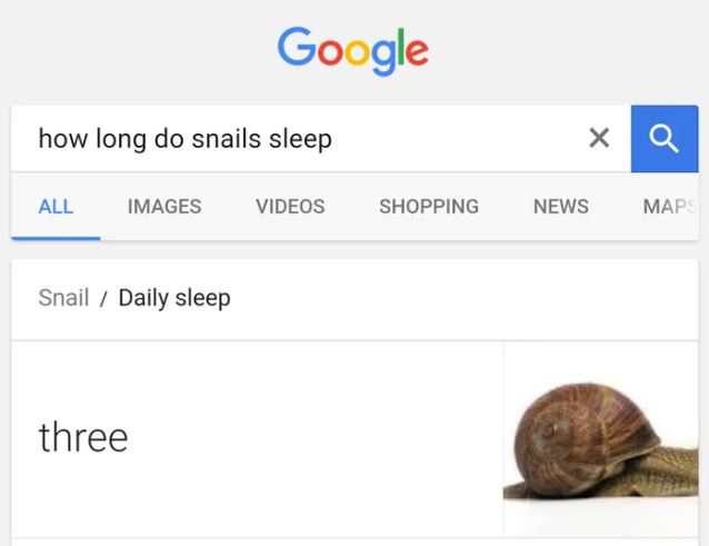 three.JPG