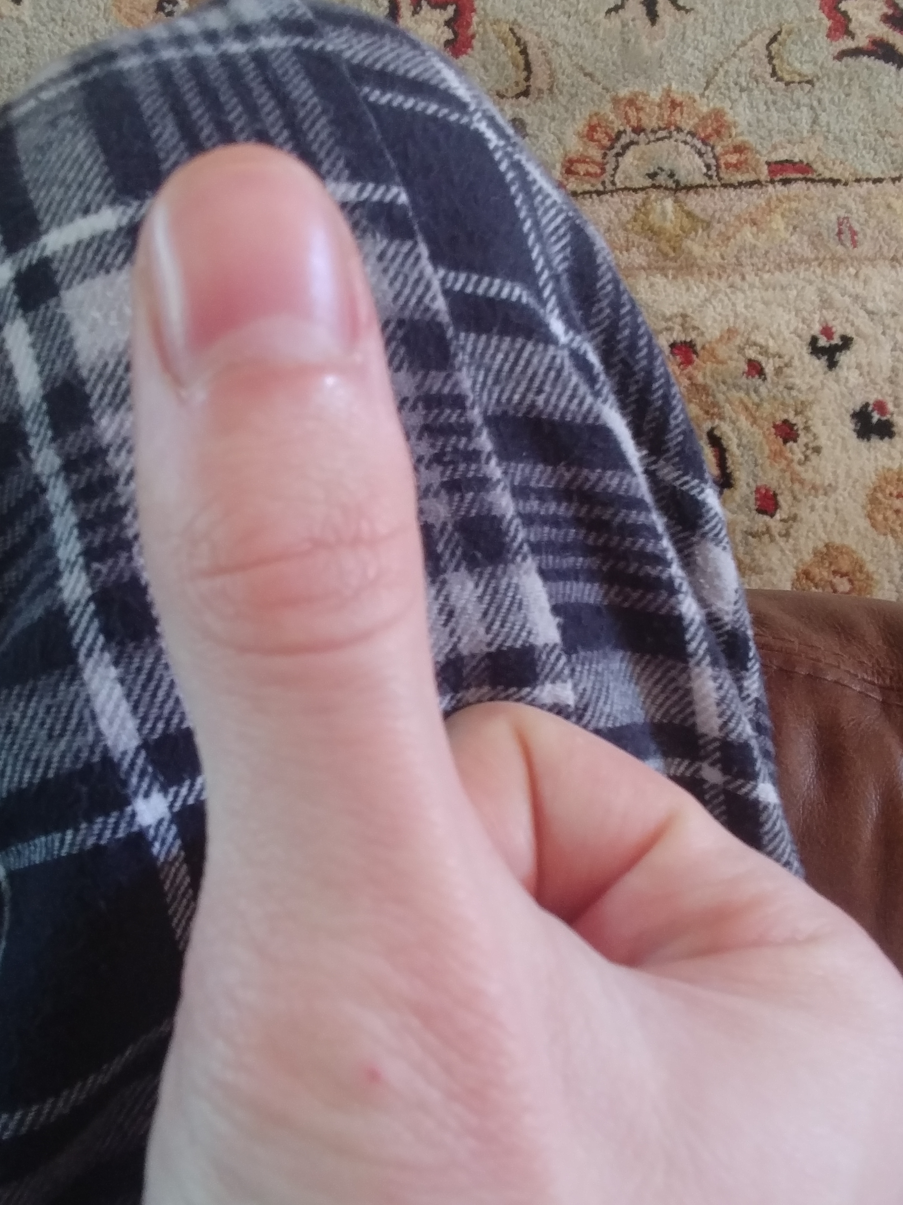 thumb-jpg.1355206