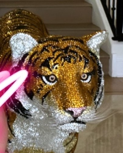 tiger.jpg