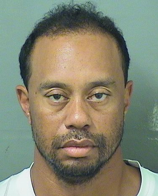tiger mug.png