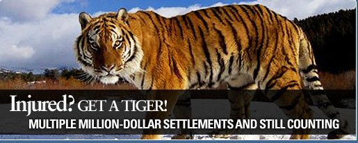 tiger.png