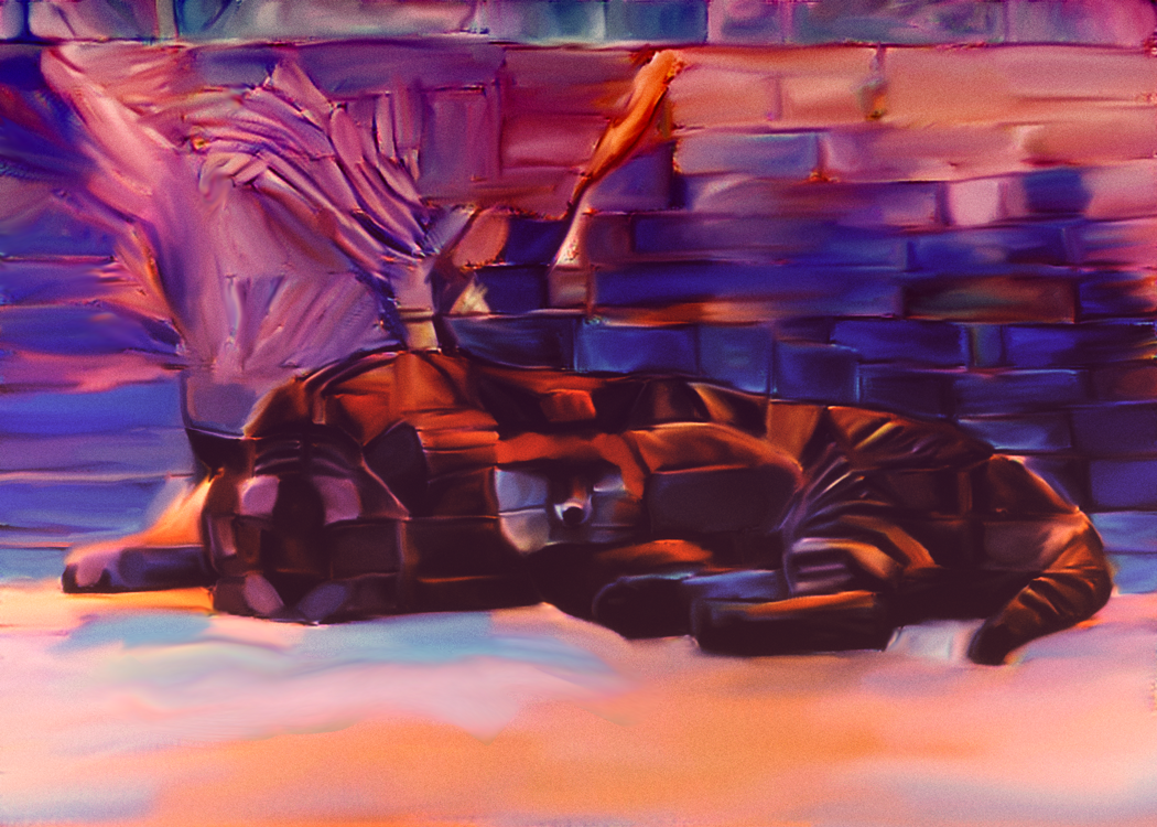 tigerfox.png