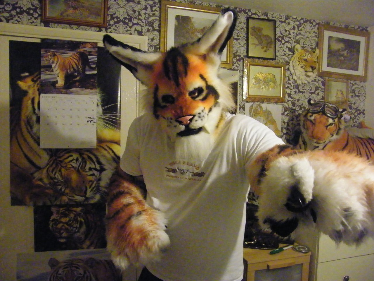 tigerphile.jpg
