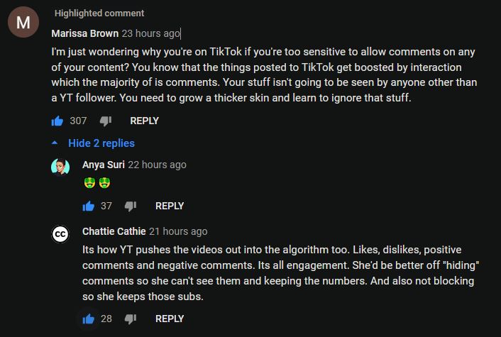 tiktok.JPG