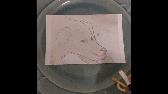 tnc.gif