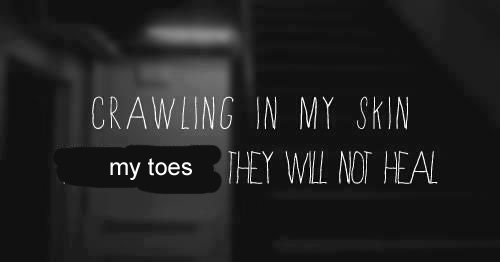 toes.jpg
