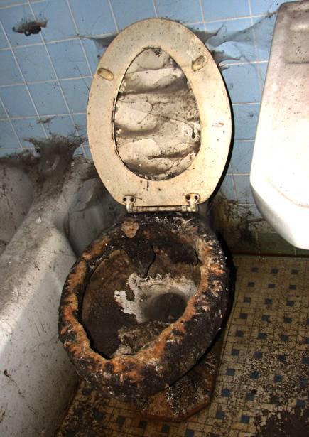 toi.jpg