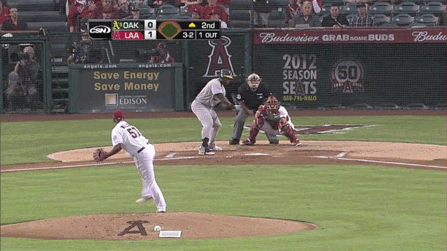 tomhallion1.gif