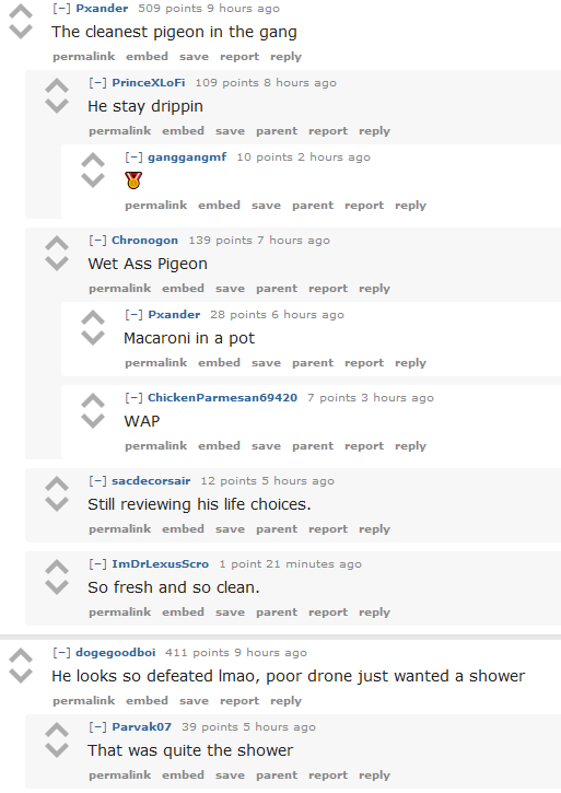 top comments.PNG
