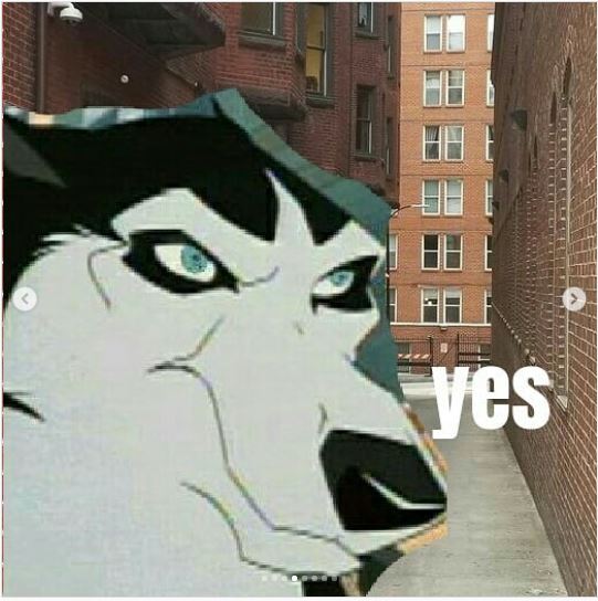 topdog comic 4.JPG