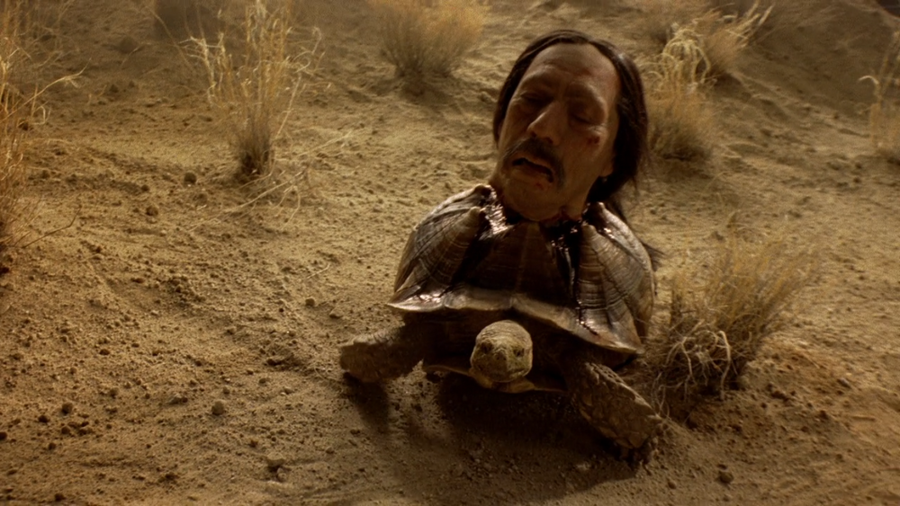 tort.png