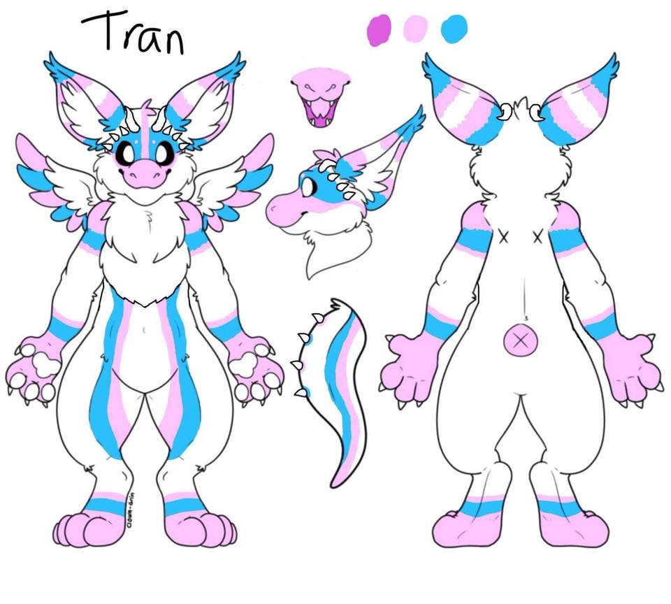 Trans.jpg
