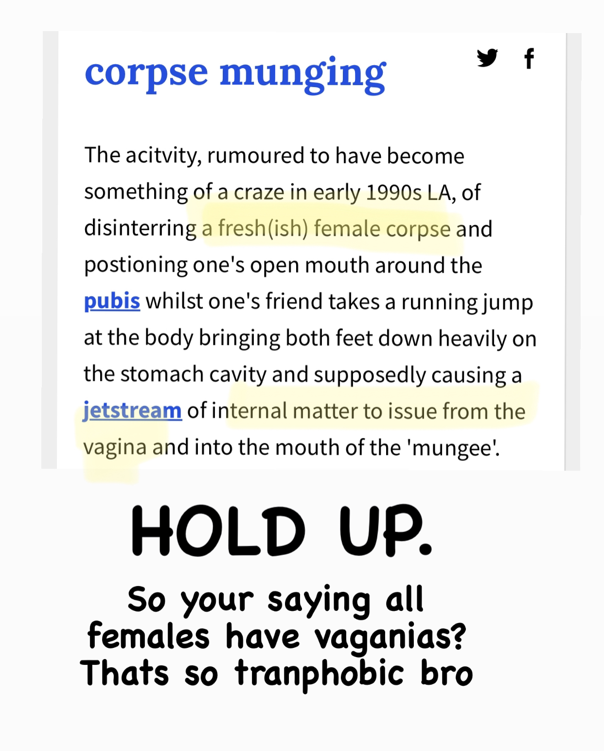 trans.jpg