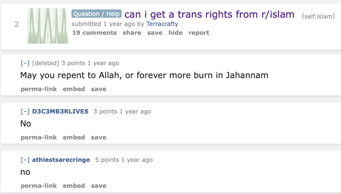 trans rights islam.png