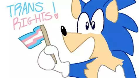 TRANS RIGHTS.webp