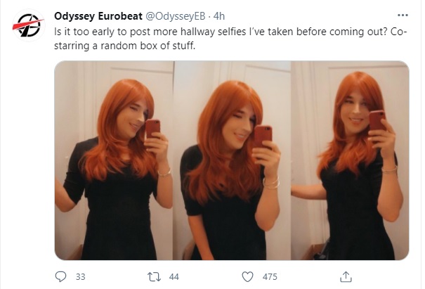 trans twitter.jpg