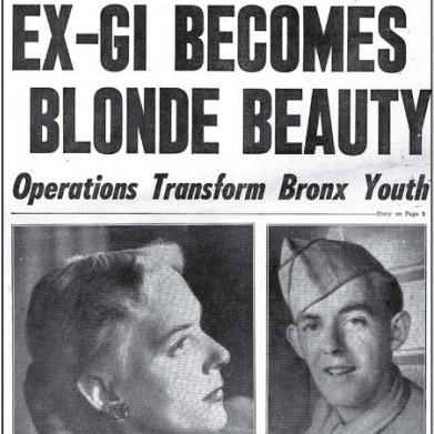 trans01.jpg