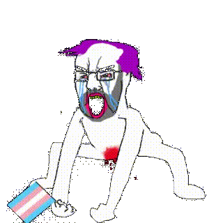 transbtfo.gif