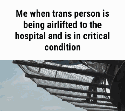 transmeme3.gif