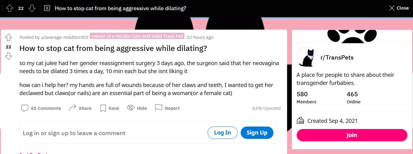 transpets.jpg