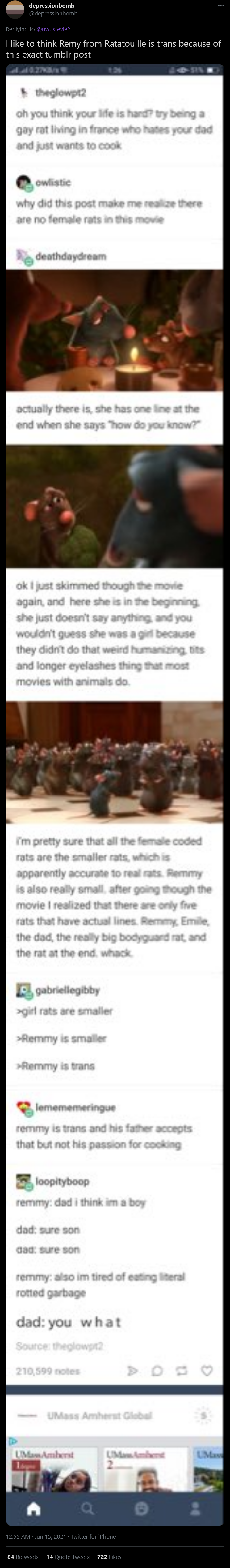 transremy.png