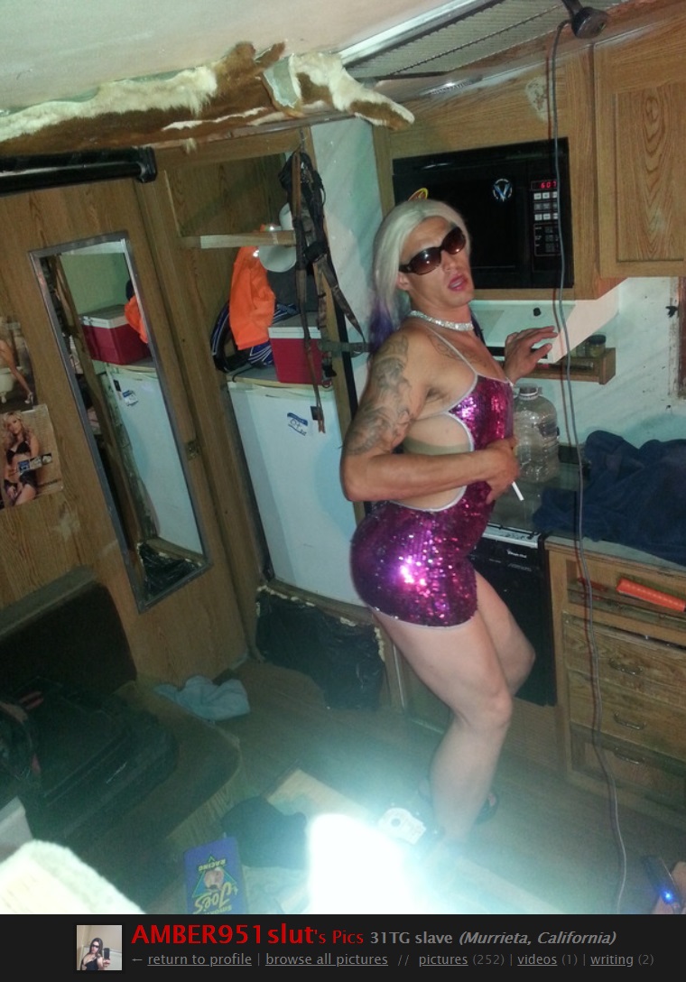 transs.jpg