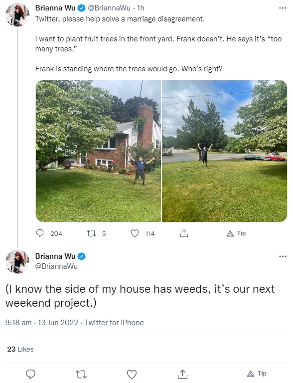 tree.jpg
