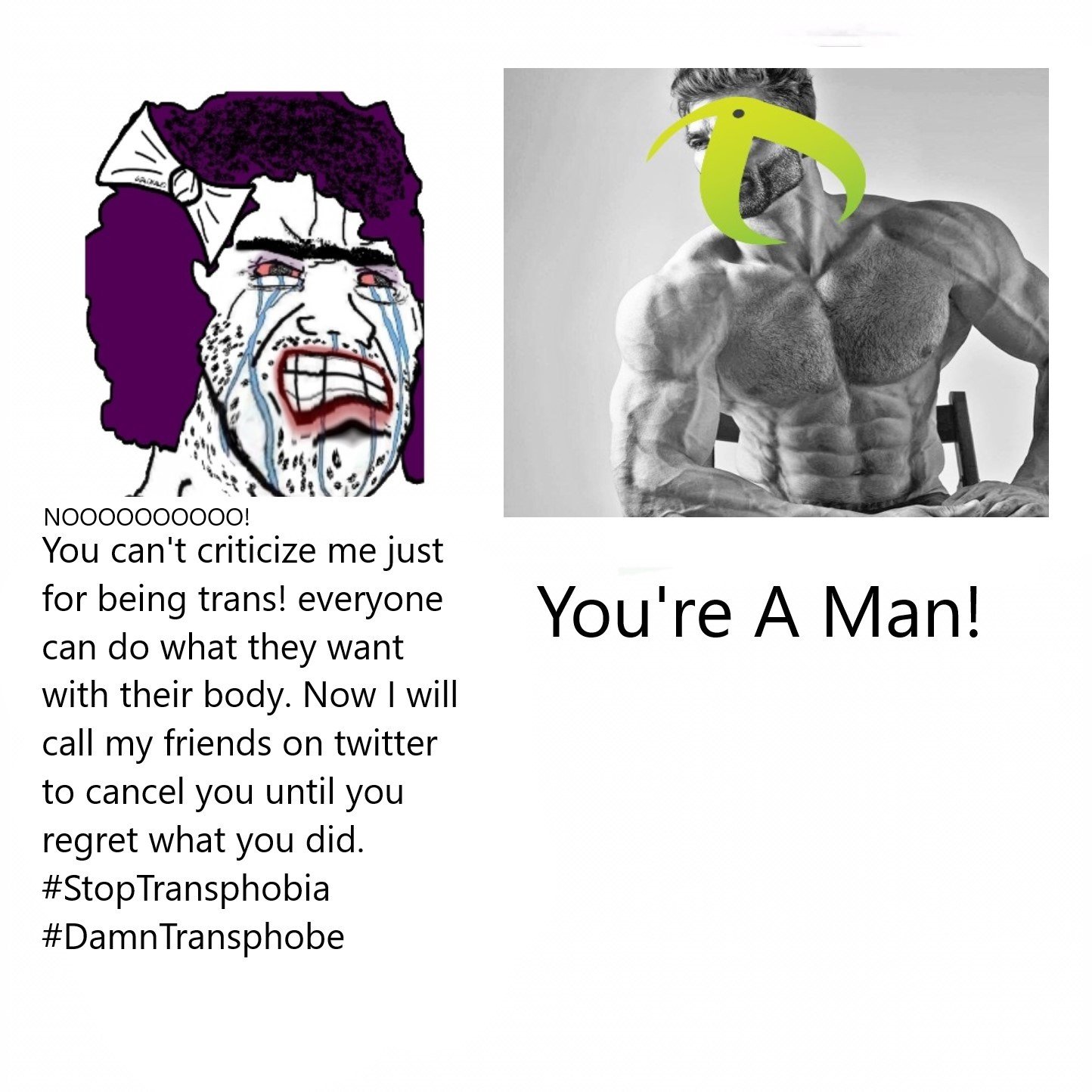 troon btfo meme.jpeg