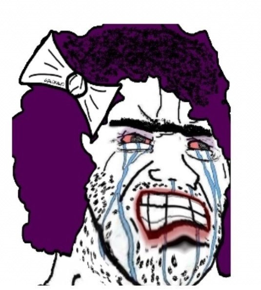 troon btfo meme.jpeg