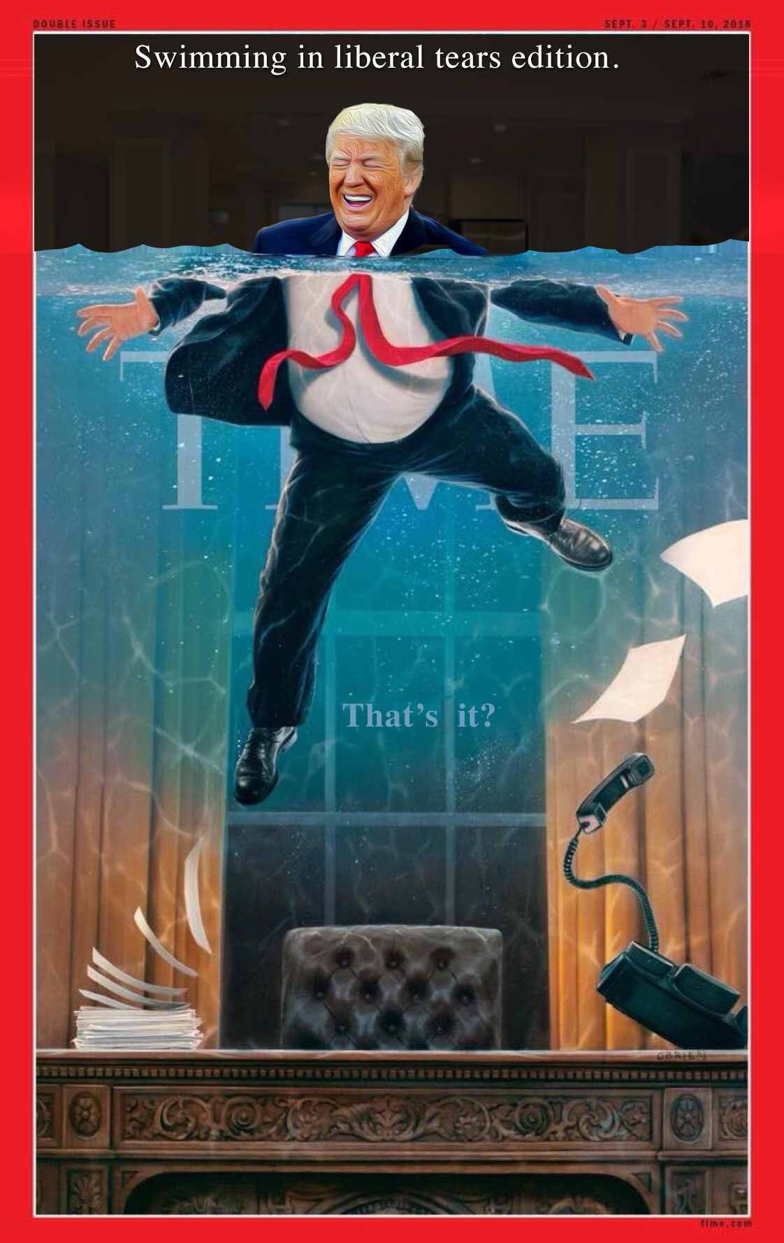 TrumpImage352.webp