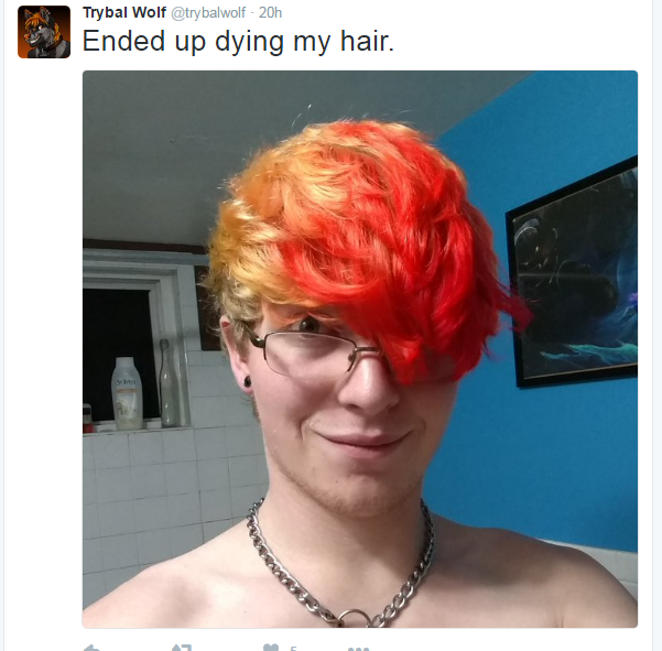 trybalhair.png