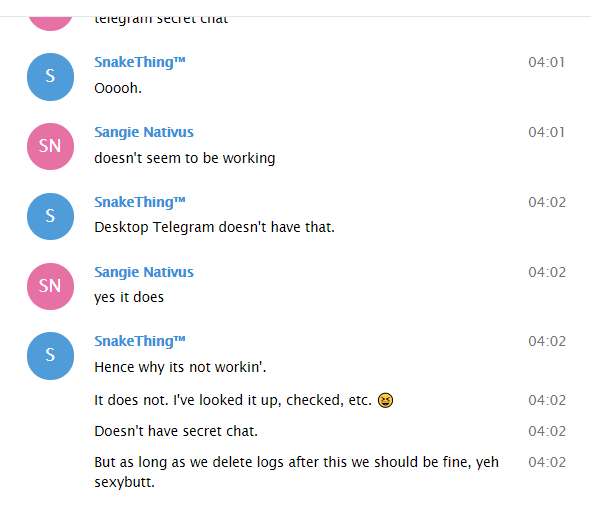 trythesecretchat2.png