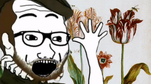 Tuliper.gif