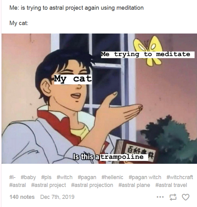 tumblr2.PNG