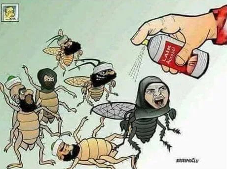 turkroach.png