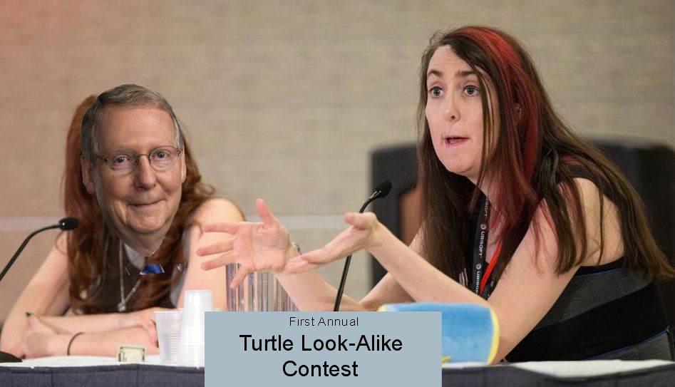 turtles.jpeg