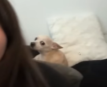 twank.png