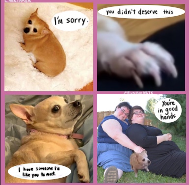 twanki.jpg