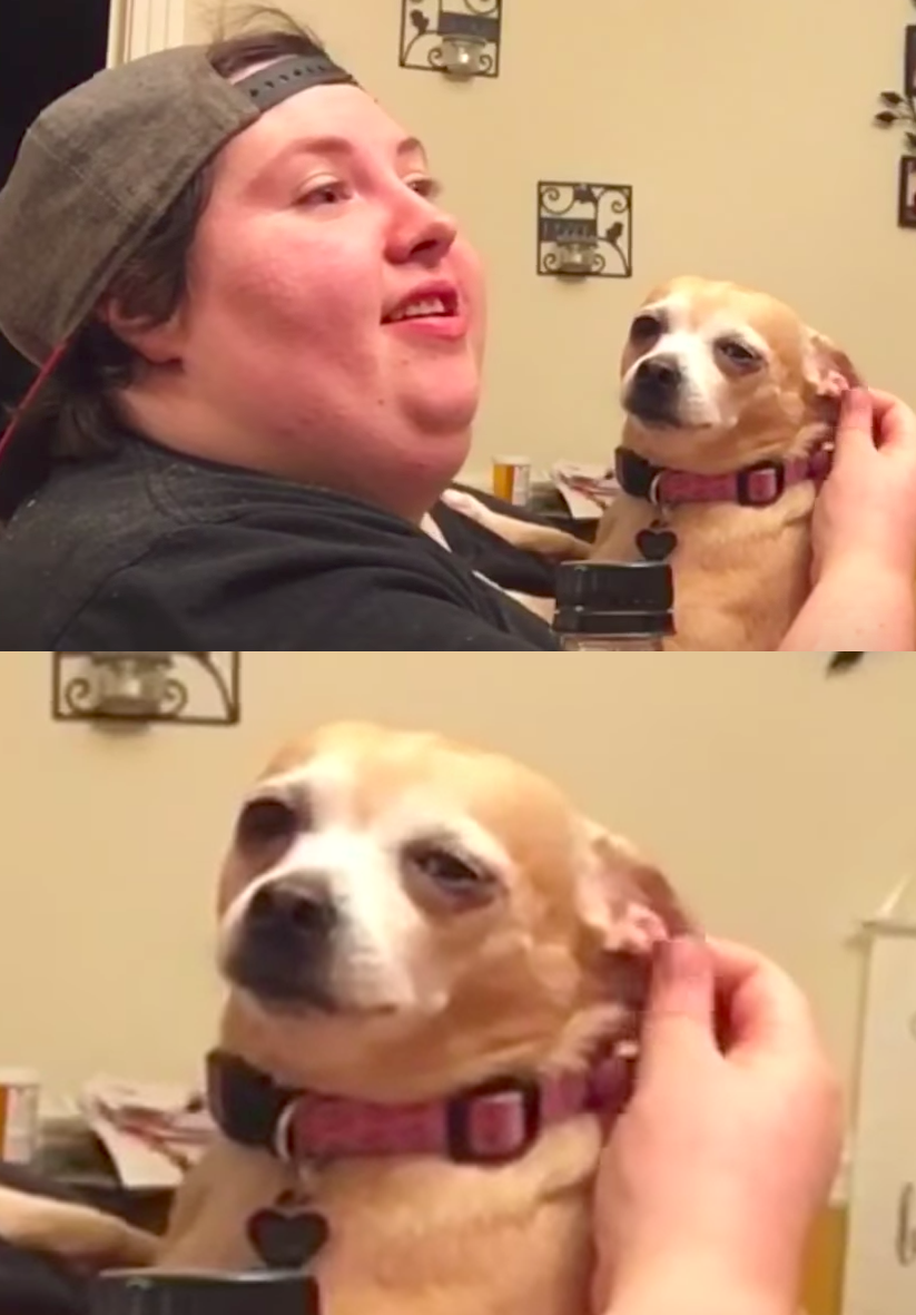 twinkie.png