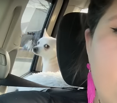 twinkiehelp.png
