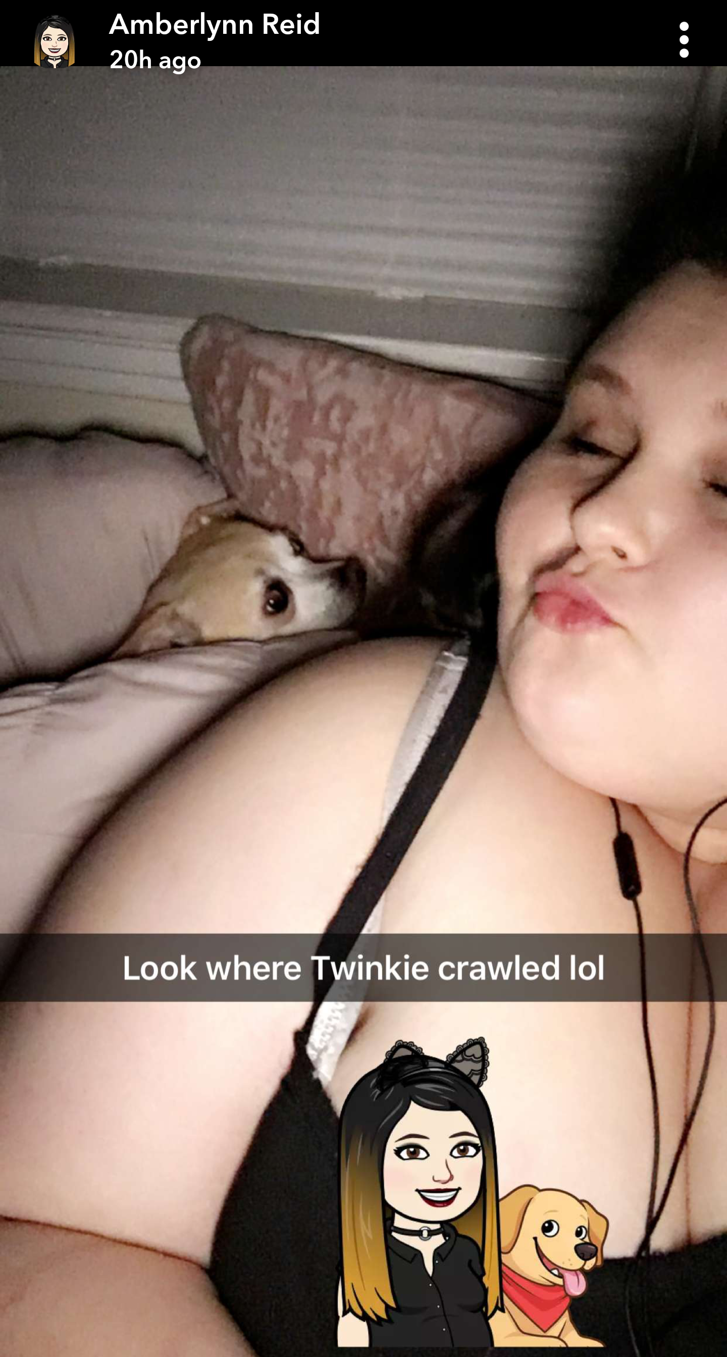 twinkiestorrr.png