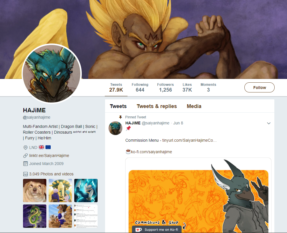 Twitter Bio.PNG